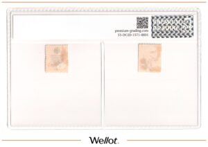 20 Копеек ND (1918) Россия Юг Ростов-на-Дону Образец PG 61 UNC